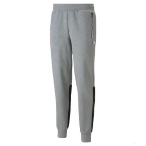 BMW Pants, Puma BMW M Logo, Grey, 2021