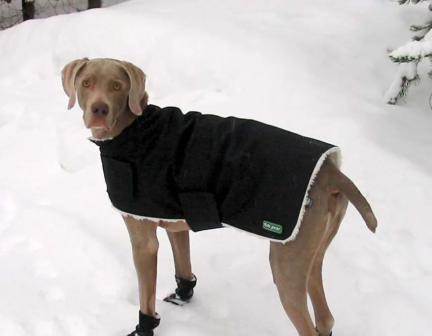 Dog Coat - Winter Coat