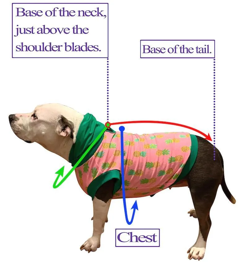 Downward Sloth - PAWjama with Dark Pink Neck & Trim/Sleeves