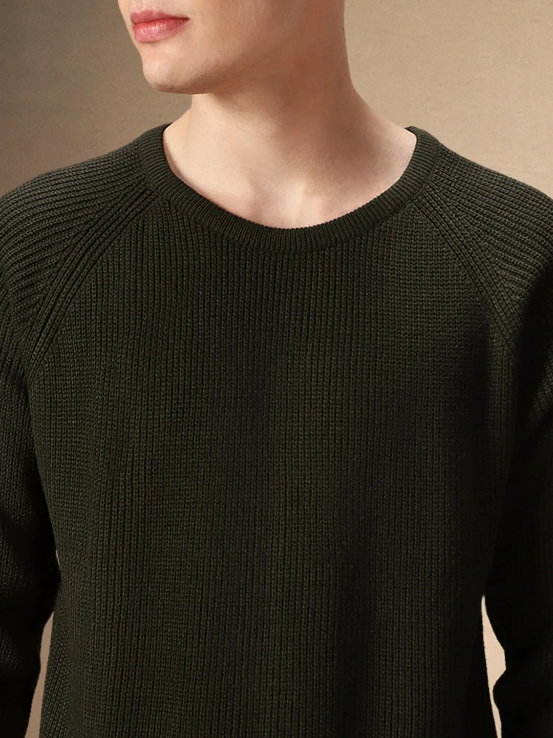 Men's Olive Round Neck Full Sleeves Pullover Sweater